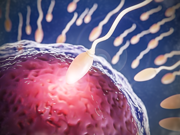 Alma Fértil course image