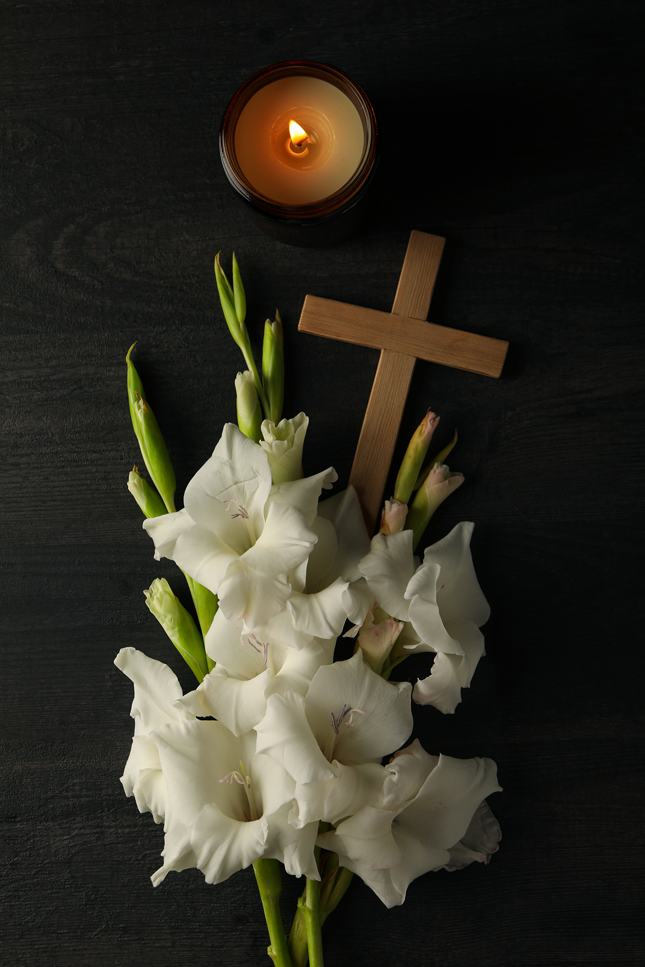 fundamentos conceptuales de constelaciones en bioconsciencia: constelaciones familiares, descodificación biológica, psicosomática clinica y consciencia corporal